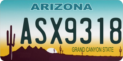 AZ license plate ASX9318