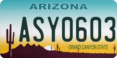 AZ license plate ASY0603