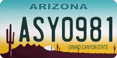 AZ license plate ASY0981