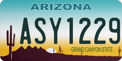 AZ license plate ASY1229