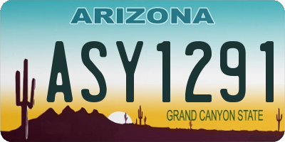 AZ license plate ASY1291