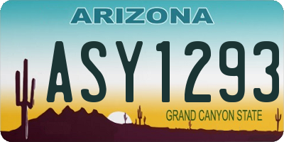AZ license plate ASY1293