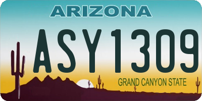 AZ license plate ASY1309