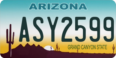 AZ license plate ASY2599