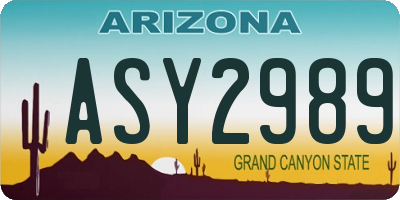 AZ license plate ASY2989