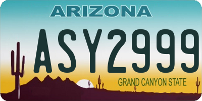 AZ license plate ASY2999