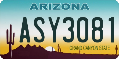 AZ license plate ASY3081