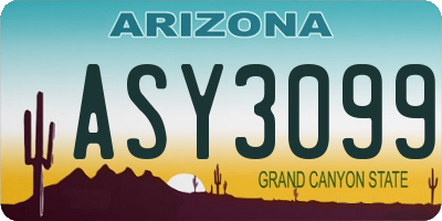 AZ license plate ASY3099