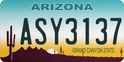 AZ license plate ASY3137