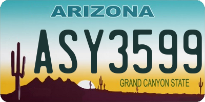 AZ license plate ASY3599