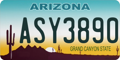 AZ license plate ASY3890