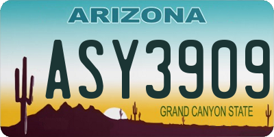 AZ license plate ASY3909