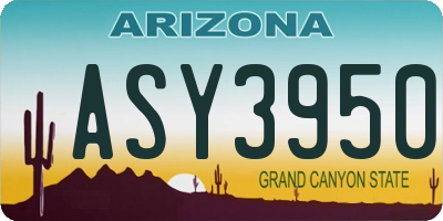 AZ license plate ASY3950