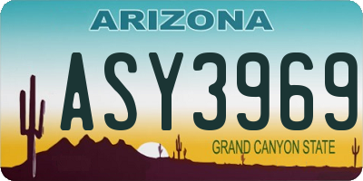 AZ license plate ASY3969