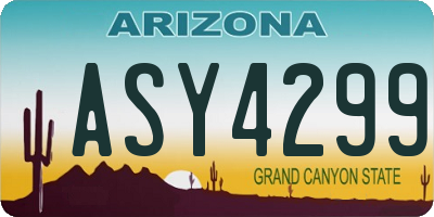 AZ license plate ASY4299