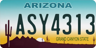 AZ license plate ASY4313