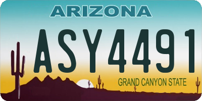 AZ license plate ASY4491