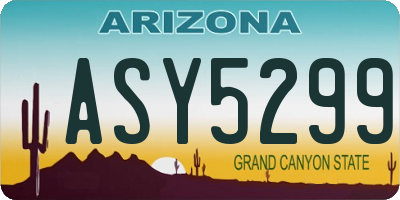 AZ license plate ASY5299