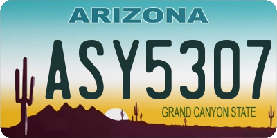 AZ license plate ASY5307