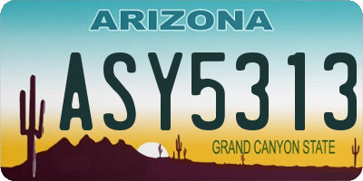 AZ license plate ASY5313