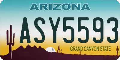AZ license plate ASY5593