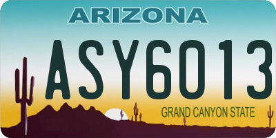 AZ license plate ASY6013