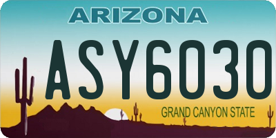 AZ license plate ASY6030