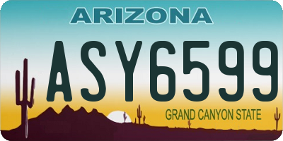 AZ license plate ASY6599
