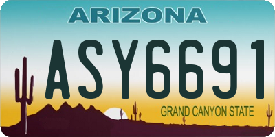 AZ license plate ASY6691