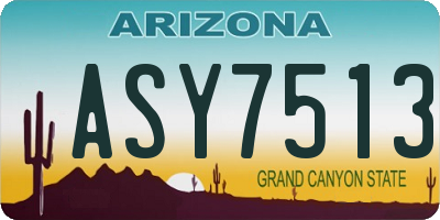 AZ license plate ASY7513