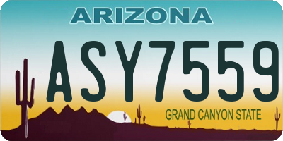 AZ license plate ASY7559