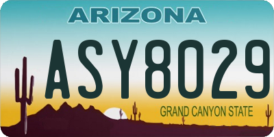AZ license plate ASY8029