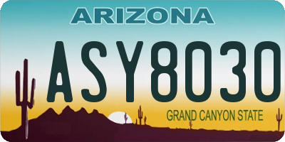 AZ license plate ASY8030