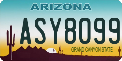 AZ license plate ASY8099