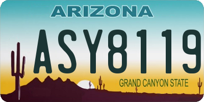 AZ license plate ASY8119