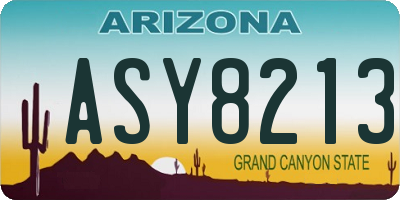 AZ license plate ASY8213