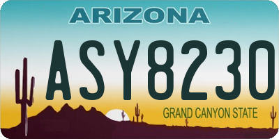 AZ license plate ASY8230