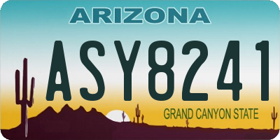 AZ license plate ASY8241