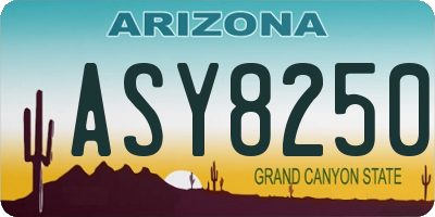 AZ license plate ASY8250