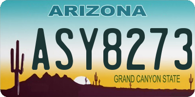 AZ license plate ASY8273