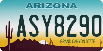 AZ license plate ASY8290