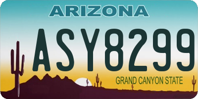 AZ license plate ASY8299