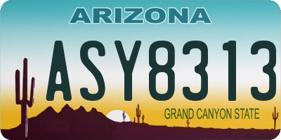 AZ license plate ASY8313
