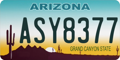 AZ license plate ASY8377