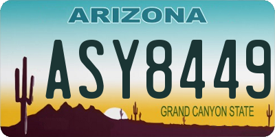 AZ license plate ASY8449