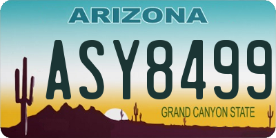 AZ license plate ASY8499