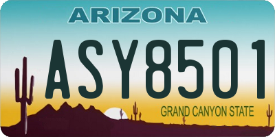 AZ license plate ASY8501