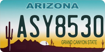 AZ license plate ASY8530