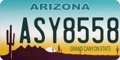 AZ license plate ASY8558