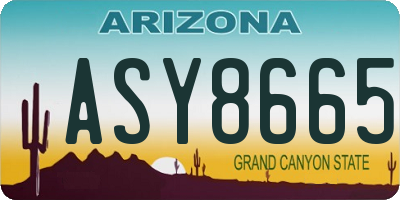 AZ license plate ASY8665